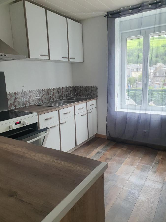 Apartamento Bienvenue Chez Les Ch'Oups Le Cocoon La Bourboule Exterior foto